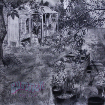 Charcoal Backyard Sketch